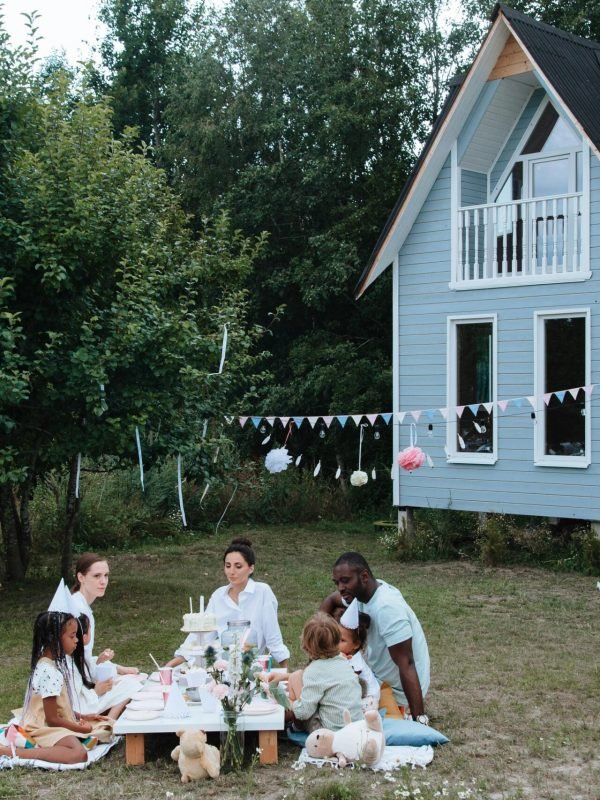 pexels-ron-lach-10033211 pexels-ron-lach-10033211